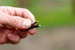 Reserve Fillmore Tubeless Valves (1 Pair) - 50mm -Kind Shock Verkoop reserve fillmore valve dsc02780 1105445