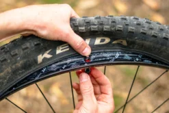 Reserve Fillmore Tubeless Valves (1 Pair) - 50mm -Kind Shock Verkoop reserve fillmore valve dsc02783 1105448