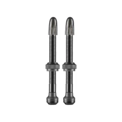 Schwalbe Tubeless Valves (1 Pair) - 40/60/100mm