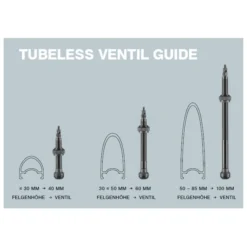 Schwalbe Tubeless Valves (1 Pair) - 40/60/100mm -Kind Shock Verkoop tubeless valve 2 838025